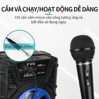 Micro Karaoke RAYHAYES RD-118 Micro Karaoke Dynamic Micro Có Dây