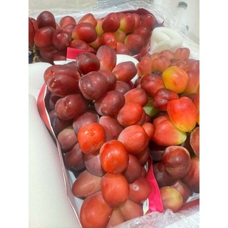 NHO MẪU ĐƠN ĐỎ