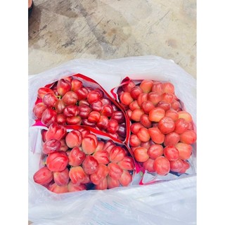 NHO MẪU ĐƠN ĐỎ