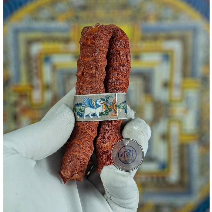 [ HÀNG GIEO DUYÊN] Combo 3 Thanh San Hô Đỏ May Mắn Cúng Dường Pháp Bảo Phật Giáo