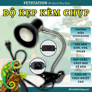 Bộ Chụp Và Kẹp Đèn Sưởi Bò Sát 50W-100W Cao Cấp Phù Hợp Cho Rùa Iguana Ếch Côn Trùng 