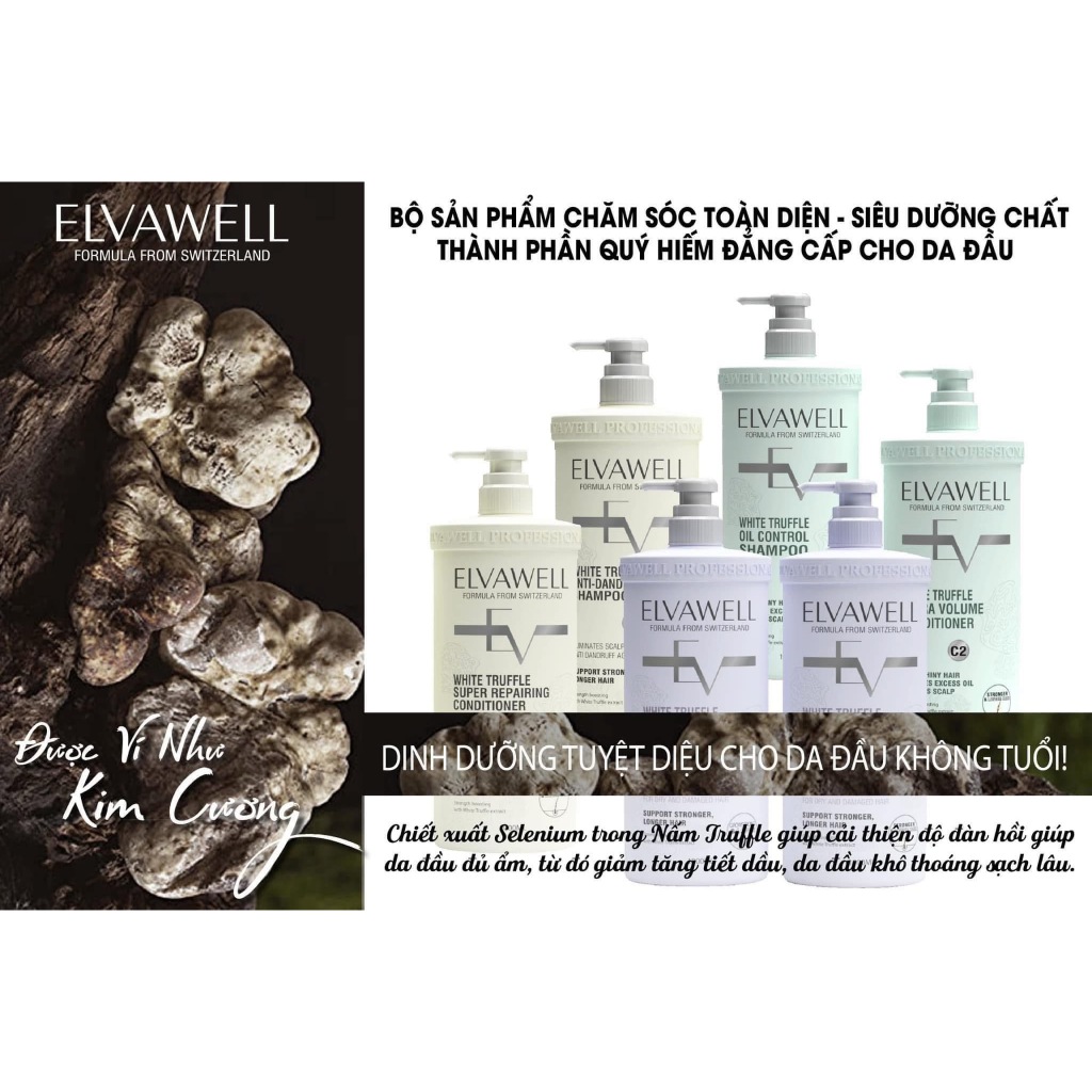 EVAWELL gội xả hương nước hoa chiết xuất nấm truffle siêu mềm mượt,phục hồi hư tổn,giảm gàu,kiềm dầu