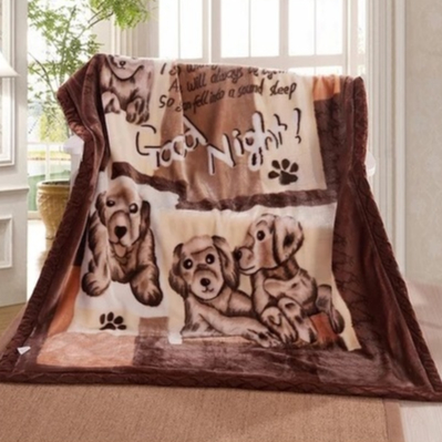 Chăn Lông Tuyết 2 Lớp Cao Cấp Siêu Mềm Trọng Lượng 3kg Giữ Ấm Tối Đa Ngày Lạnh