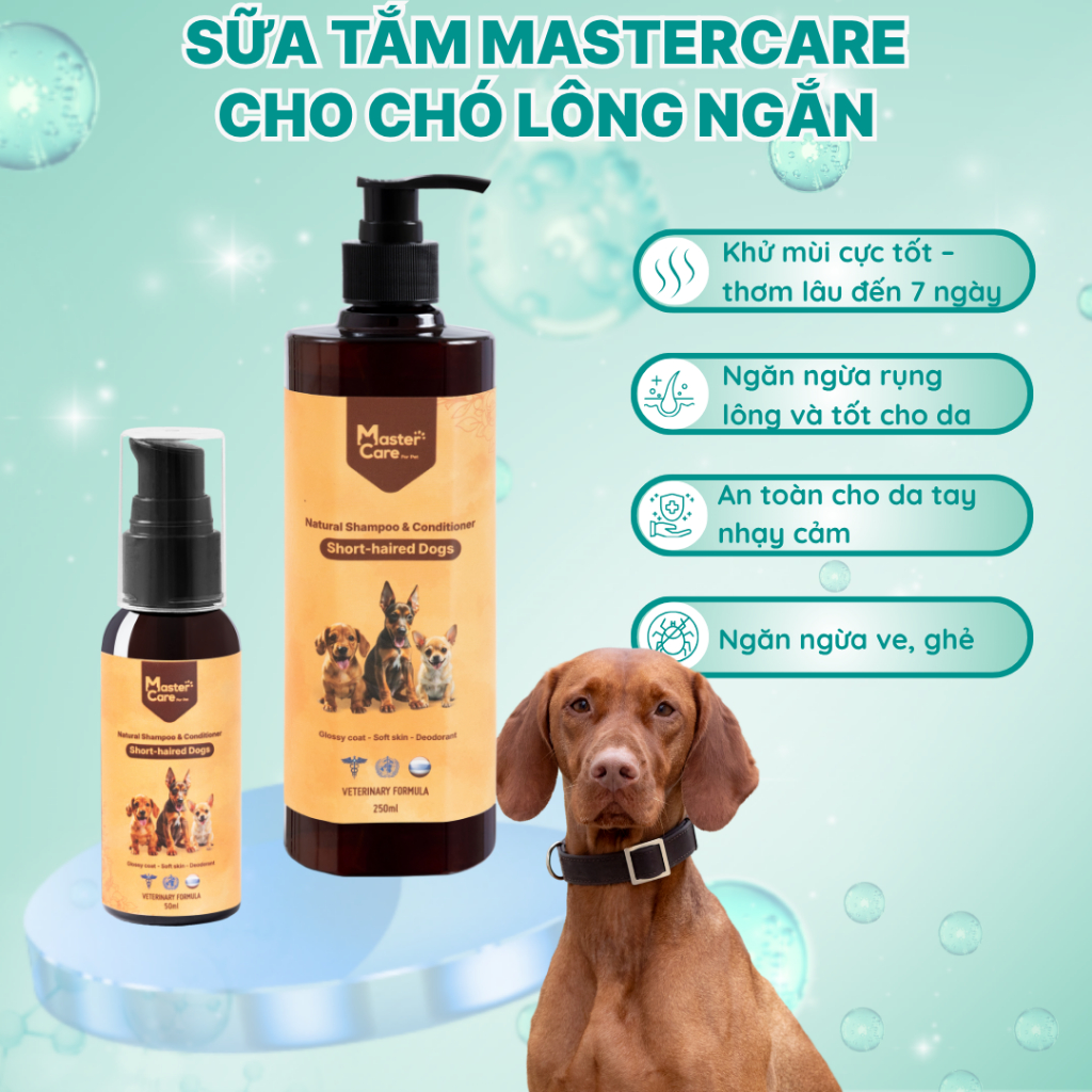 Sữa Tắm Cho Chó Chó Lông Ngắn – Dưỡng Lông Bóng Mượt, Hương Thơm Bền Lâu MasterCare