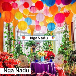 Combo 50 đèn lồng giấy 20cm đủ màu trang trí Tết 2026,nhà Chùa,Trường học,cửa hàng,trung tâm thương mại,quán cà phê