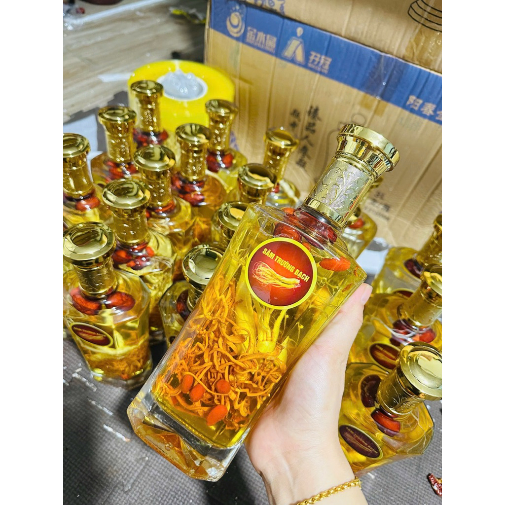 1binh sâm trường bạch