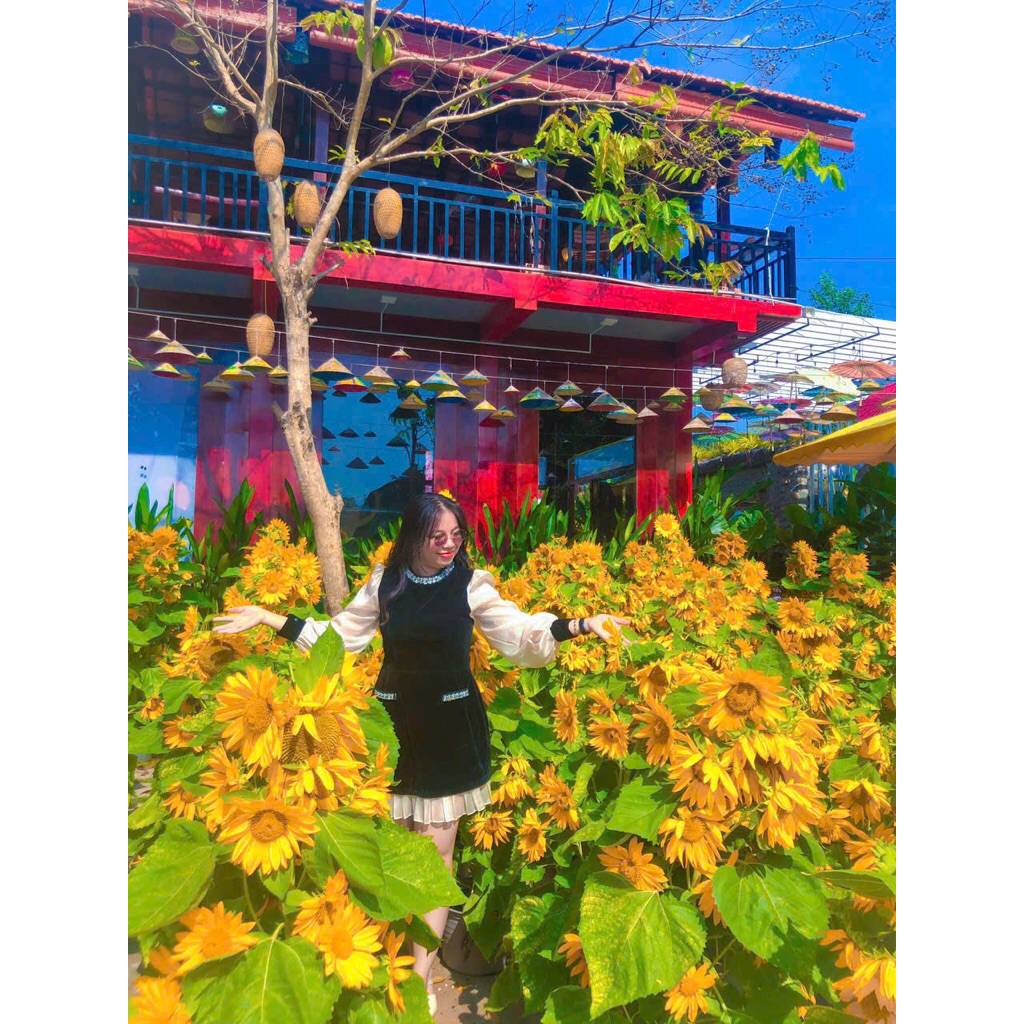 pass đầm size L