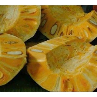 Combo Mít thái chín cây miền Tây (đặt từ 7 kilo để múi to + giảm còn 20k/kilo)