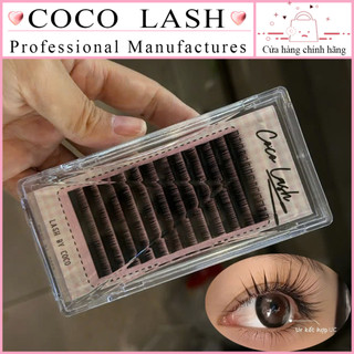  Mi Nối Douyin Trung Hoa Cong UC UR ngọn sole nâng form mắt giúp nối mi không bị xệ 