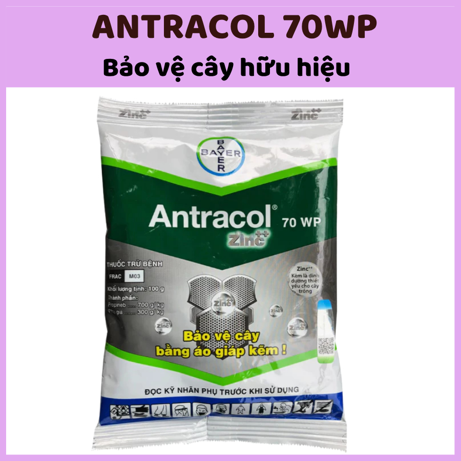 Antracol 70WP gói 100gr - Trị Nấm – Đốm Lá – Thán Thư – Vàng Lá Hiệu Quả