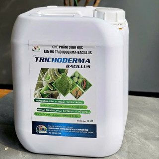  TRICHODERMA BACILLUS  Can 10lit - Ngừa tuyến trùng cải tạo đất xanh lá. 