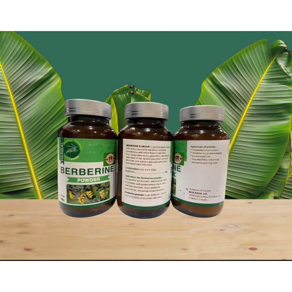 Beberine hổ trợ tr.ị phân trắng, phân lỏng phân đức khúc phân 2 màu trên tôm ( lọ 100gr)