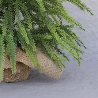 HÀNG CÓ SẴN Cây Thông Noel Mini , cây thông noel để bàn 60cm