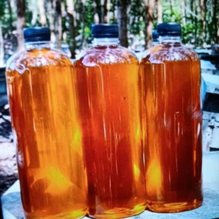  BÁN SỈ  1 LÍT MẬT ONG hoa cà phê,mật ong hoa nhãn,mật ong hoa vải nguyên chất. 