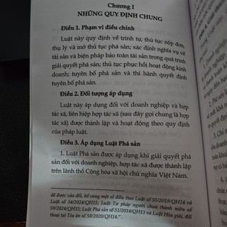 Sách - Luật phá sản (NXB Lao động)