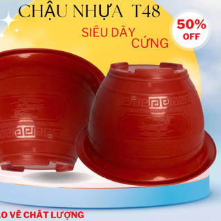   Combo 10 chậu Chậu nhựa trồng cây Phúc lộc thọ T48,kích thước 46x23cm chậu trồng hoa cây cảnh quất đào tết 