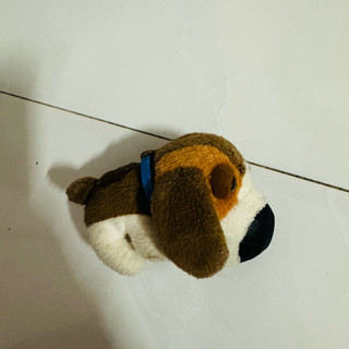 Thanh lý gấu bông used