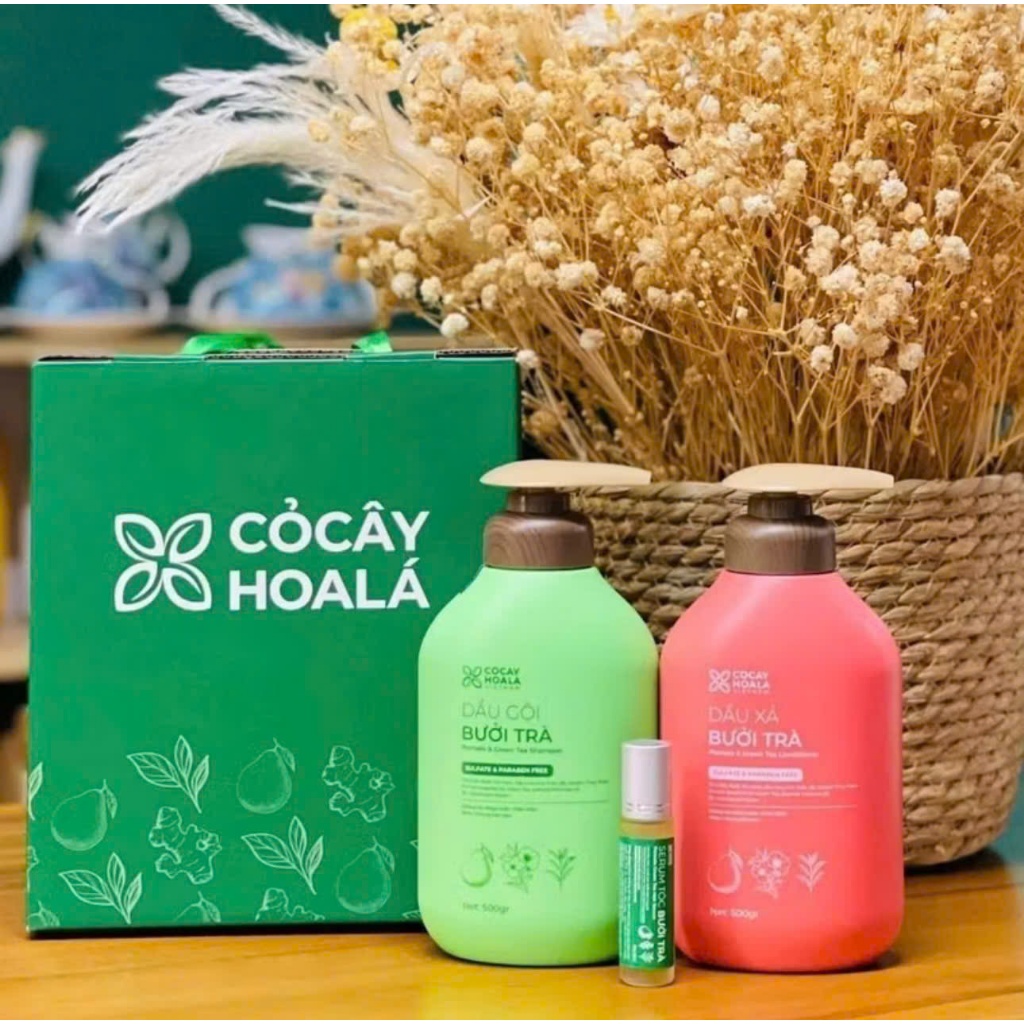 Hôp quà tặng cỏ cây hoa lá màu xanh