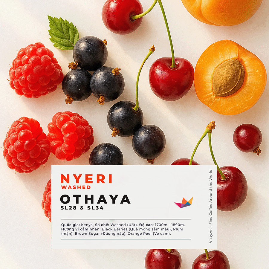 Cà phê Kenya Nyeri Visty - Cốc cà phê pour over phong phú đến bất ngờ