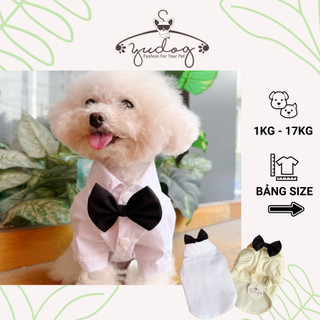  Sơ mi trắng cho chó mèo yudog sơ mi trắng kèm nơ cho thú cưng chó mèo 