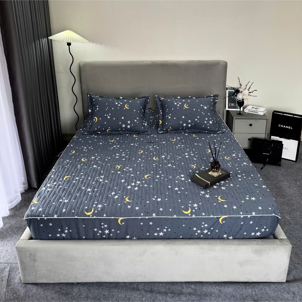 Bộ ga gối cotton cao cấp ga chun trần bông hàn quốc đủ kích thước m6 m8 2m2