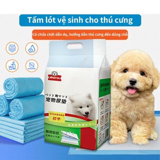 Miếng lót vệ sinh cho thú cưng Siêu Thấm Hút Aikesu Cho Chó Mèo - Phù Hợp Cho Khay, Lồng, Chuồng
