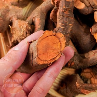 Mú từn 500g, rễ mú từn, cây mú tửn, khô, thơm, sạch - Tổng Kho Sỉ Thảo Dược
