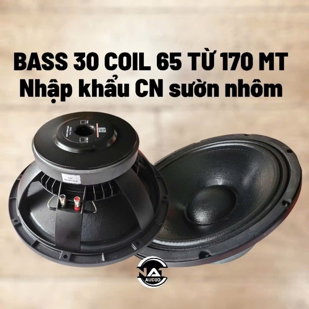 Bass 30 coil 65 từ 170 Sườn nhôm màng chống nước nhập khẩu CN