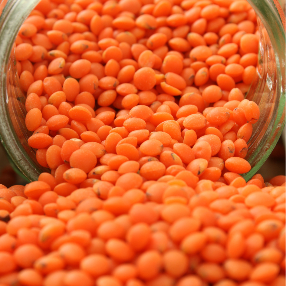 500gr Đậu lăng đỏ hữu cơ Canada