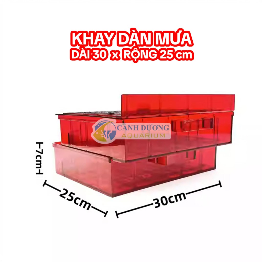 Khay dàn mưa nhựa mica màu đỏ trong suốt 30x25x7 cm dùng DIY lọc thô cho hồ cá