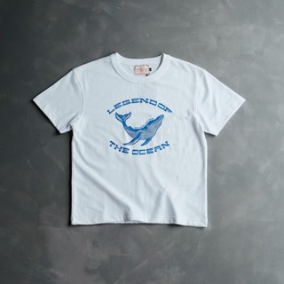  Áo thun Cá Voi - Form slim-fit - Olderister 