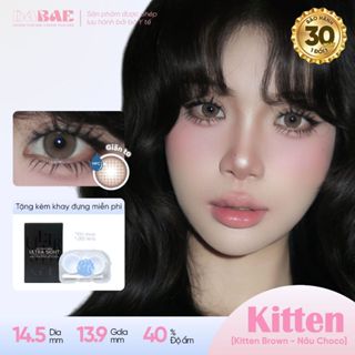  Lens giãn tròng DABAE mắt màu nâu choco kính áp tròng 3 tháng DIA 14.5mm độ 0-8 1 chiếc KITTEN BROWN 
