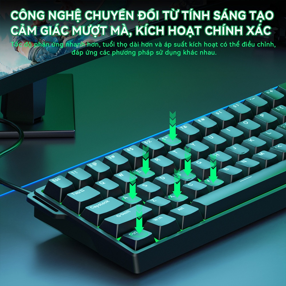 AULA WIN60HE Bàn phím từ RT Gaming Dây RGB Hot-swap 8kHz độ trễ thấp Bàn phím cơ học | BigBuy360 - bigbuy360.vn