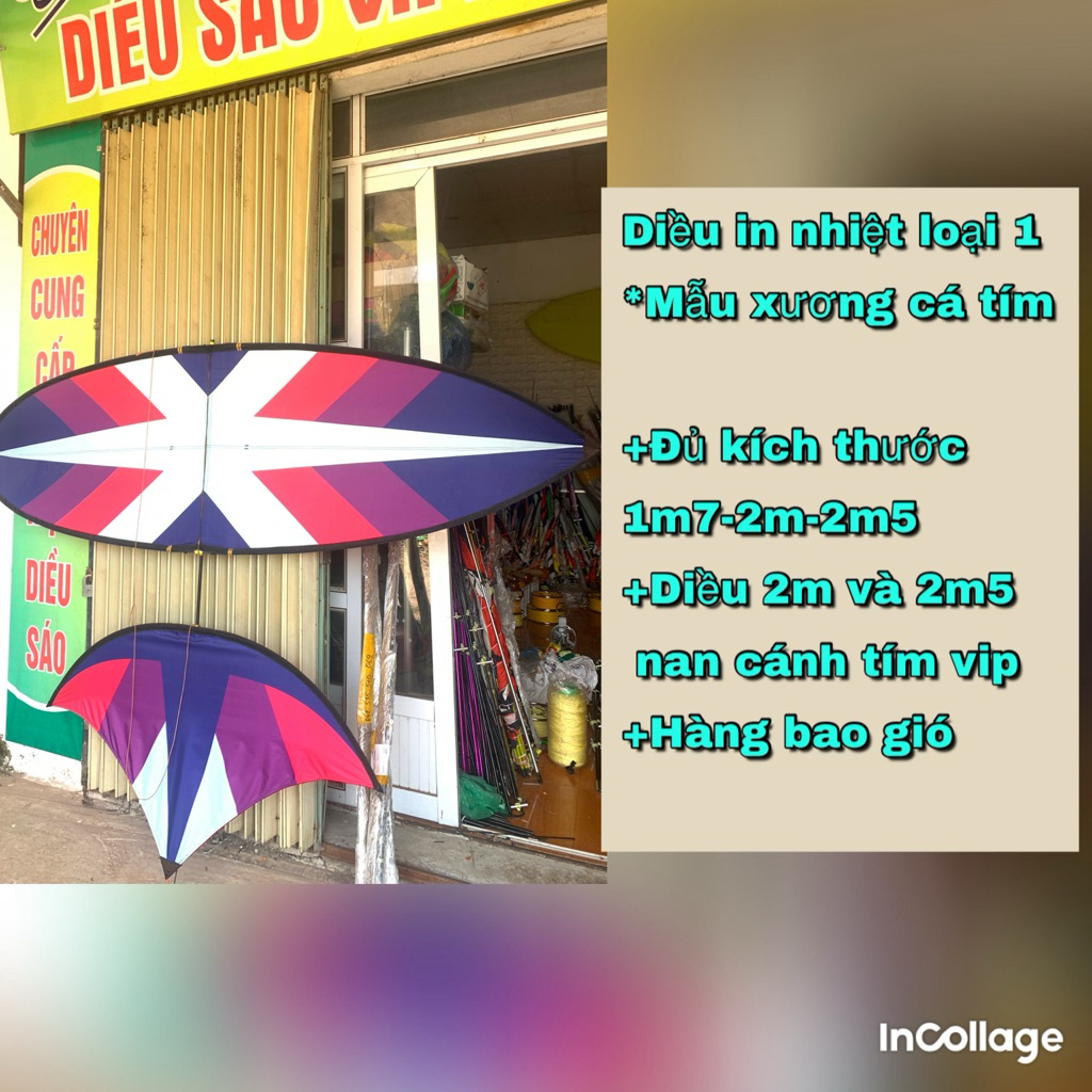 diều xương các tím Các lại 1m7(2m5 nan tím VIP)