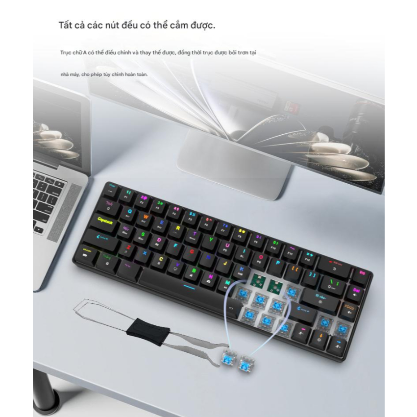 Bàn phím cơ không dây RS01 - Hỗ trợ hotswap - LED RGB nhiều chế độ - 3 mode kết nối tiện lợi | BigBuy360 - bigbuy360.vn