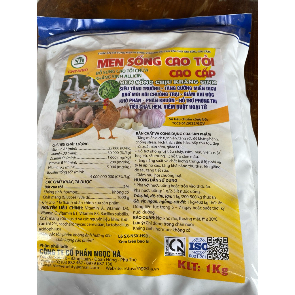 men sống cái tỏi cao cấp