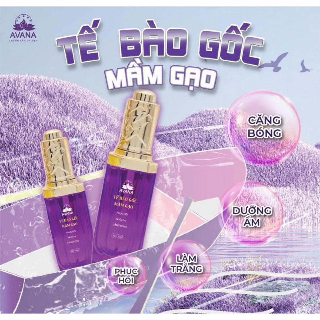 Tế Bao Gốc Mầm AVANA (50ml)
