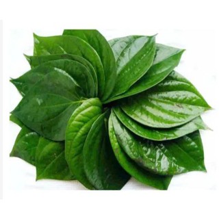 200gr lá trầu không tươi