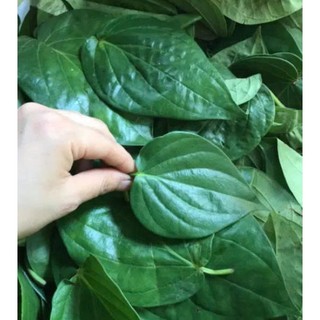 200gr lá trầu không tươi