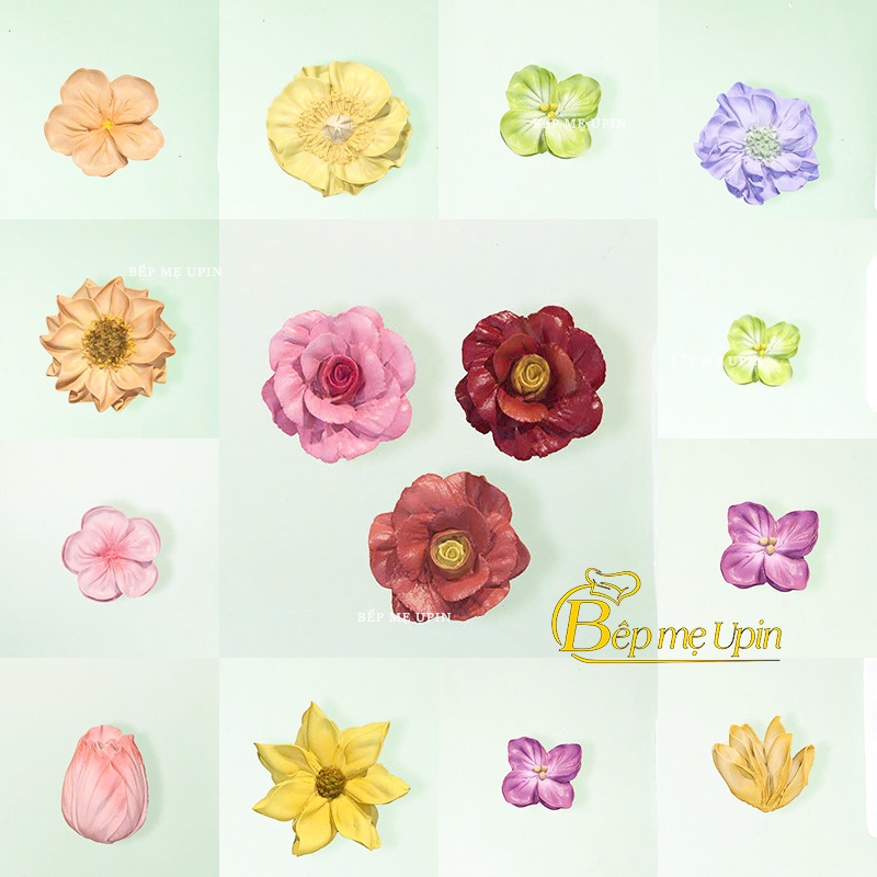 Khuôn hoa hàn quốc khuôn hoa hồng hoa cúc hoa mẫu đơn hoa tuy líp khuôn silicon