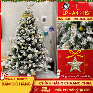  Cây Thông Noel Phủ Tuyết - Cây Thông Noel 1M2 1M5 1M8 2M1 Tán Lá Dày Rậm Trang Trí Giáng Sinh 