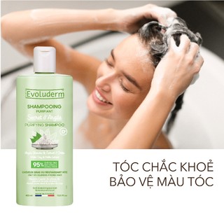 Dầu gội tóc dầu Evoluderm không Silicon giúp tóc hết bết dính, hỗ trợ giảm gàu 400ml (QT)
