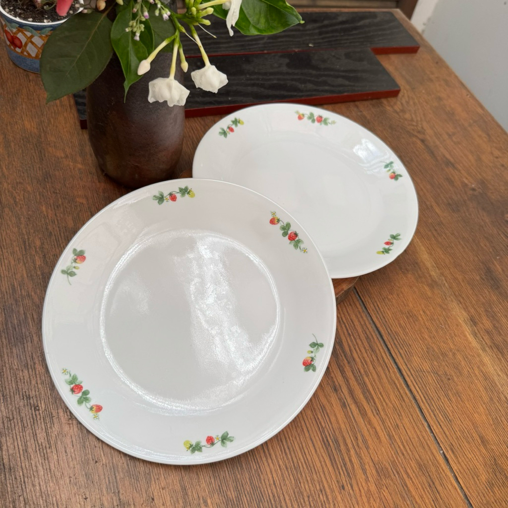 DĨA CORELLE USA