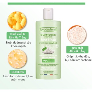 Dầu gội tóc dầu Evoluderm không Silicon giúp tóc hết bết dính, hỗ trợ giảm gàu 400ml (QT)