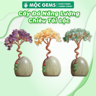  Cây Đá Năng Lượng Chậu Gốm Chiêu Tài Lộc Mộc Gems Handmade Dùng Trang Trí Nhà Cửa Bàn Làm Việc 