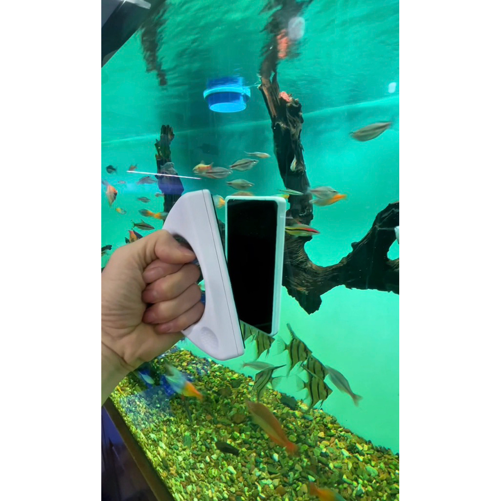 NAM CHÂM LAU BỂ CF 01, CF 02, CF03 LÀM SẠCH BÊN TRONG VÀ BÊN NGOÀI BỂ CÁ