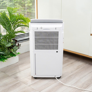 [Hoả Tốc] Máy hút ẩm kèm lọc không khí KALPEN Q1- 25 lít, Bảo hành 24 tháng