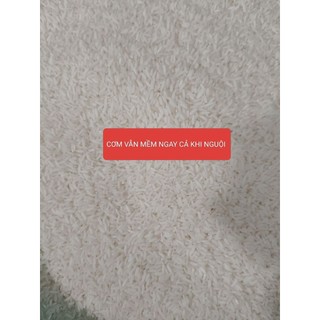 GẠO St25 LÚA TÔM 10 kg DẺO NHIỀU