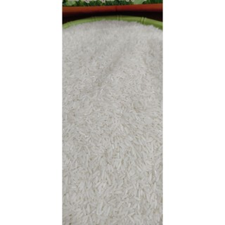 GẠO St25 LÚA TÔM 10 kg DẺO NHIỀU