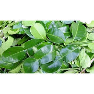 [Giao Hỏa Tốc HCM] Lá chanh - 100gr